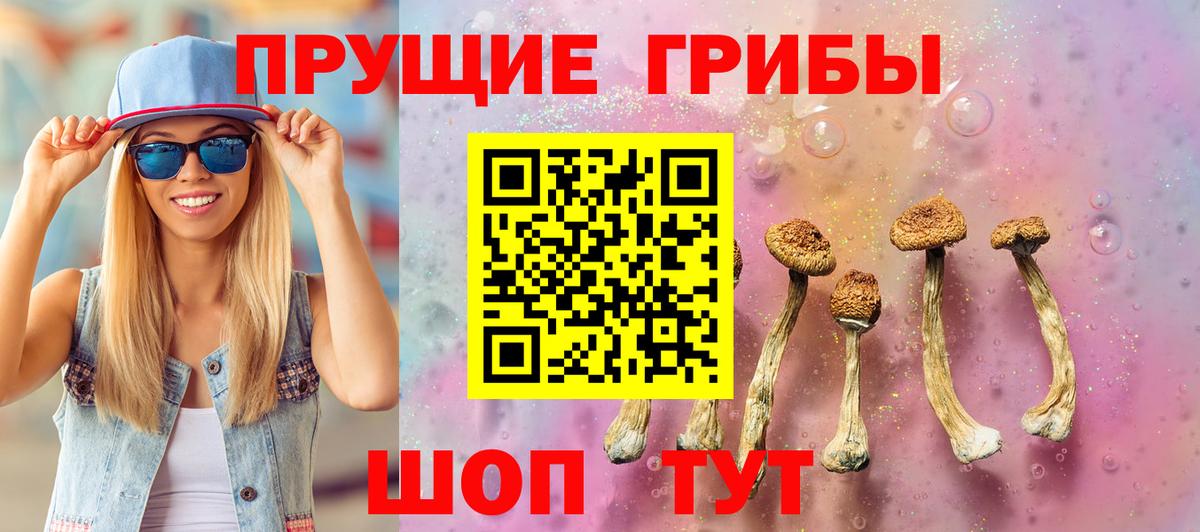 Киреевск  Галлюциногенные грибы MAGIC MUSHROOMS  Галлюциногенные грибы MAGIC MUSHROOMS  где купить наркотик  Вход с VPN 